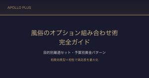 風俗の「オプション組み合わせ術」完全ガイド｜目的別最適セット・予算別黄金パターンを経験者が解説